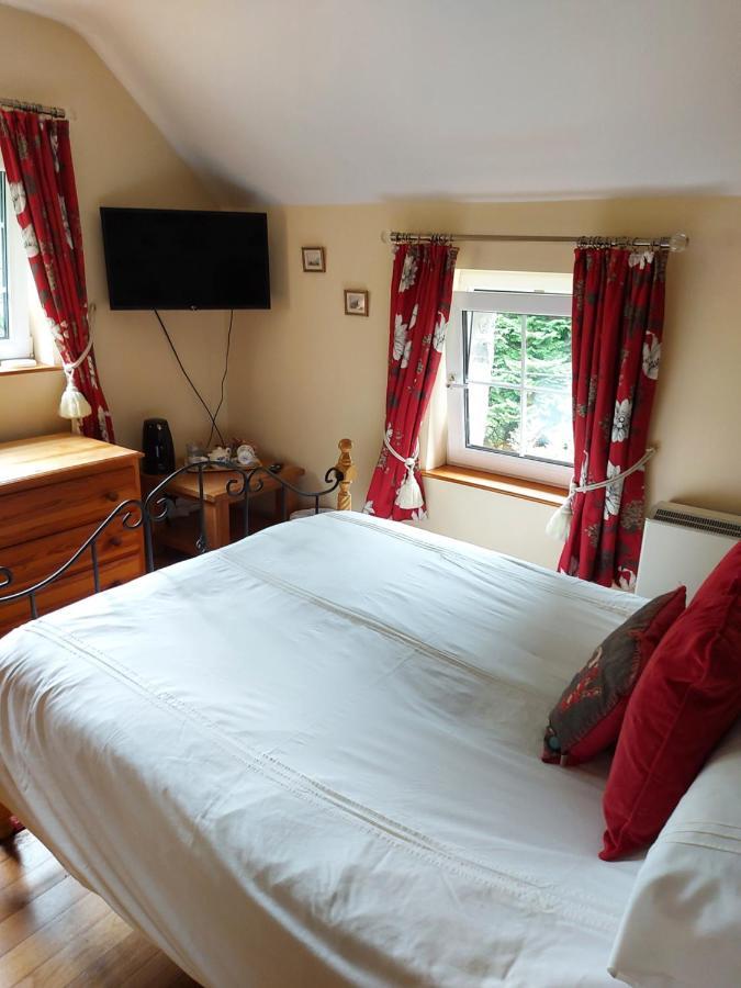 Bryn Sion Farm Villa Dinas Mawddwy Buitenkant foto